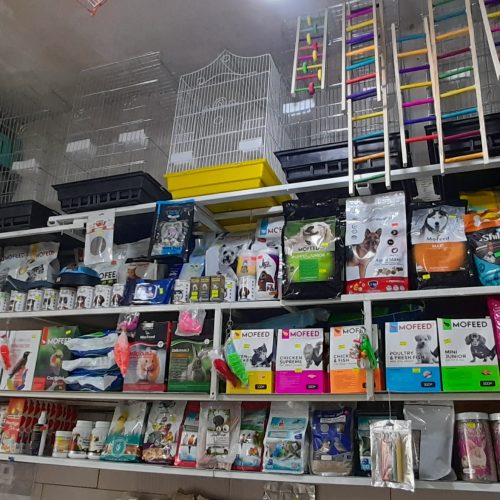 پرنده سرای طوطیا