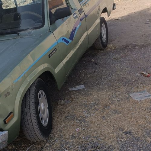 ماشین خونگی