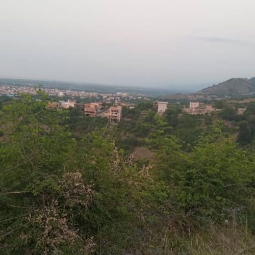 فروش زمین و باغ