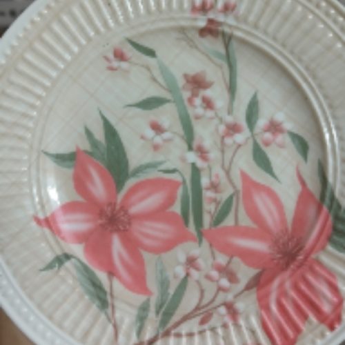 سروبس ملامین