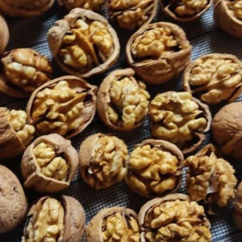 فروش گردو کاغذی درجه یک قیمت فقط 200