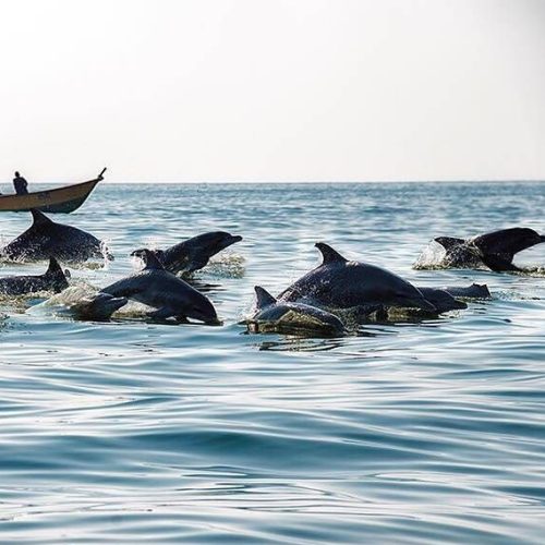 تور قشم ریلی