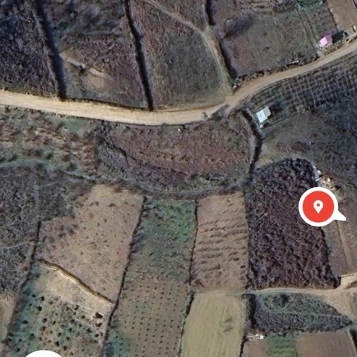 فروش زمین و باغ