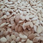 تخم کدو(تخمک سفید).بوزاری شده.وتمیز.