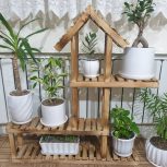 به دلیل کمبود جا