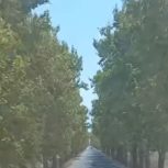 خانه ویلایی. مستقل