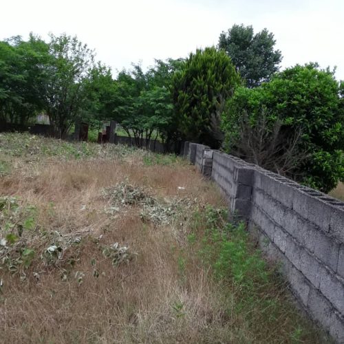 فروش زمین در طالب آباد انزلی