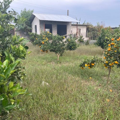 فروش زمین هزار متری