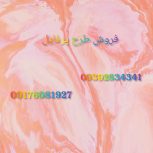 فروش طرح پرفایل برای اینستا روبیکا تلگرام اپارات ایتا