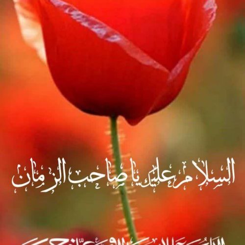 نظافت راه پله و حیاط