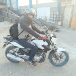 موتور سالیم