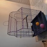 قفس طوطی برزیلی