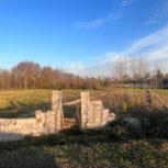 زمین تبدیل به باغی