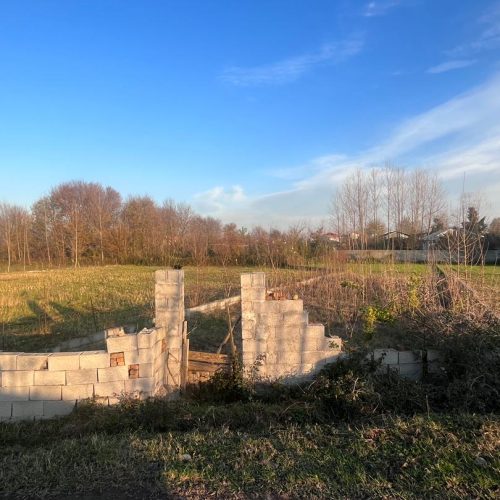 زمین تبدیل به باغی