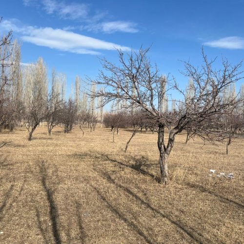 فروش زمین کشاورزی