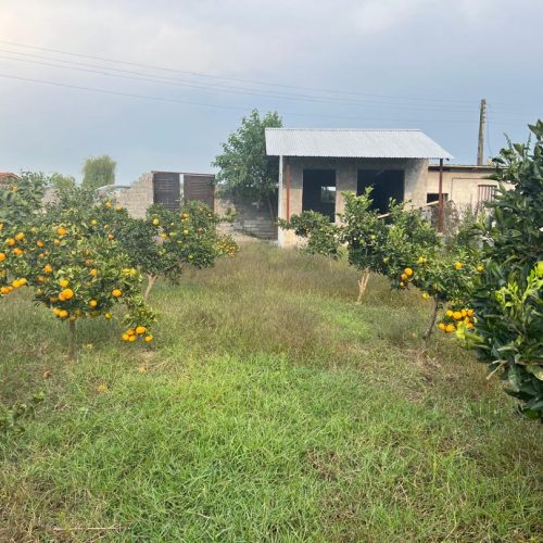 فروش زمین هزار متری