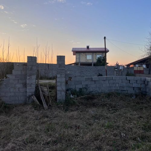 زمین شالی تبدیل به باغی