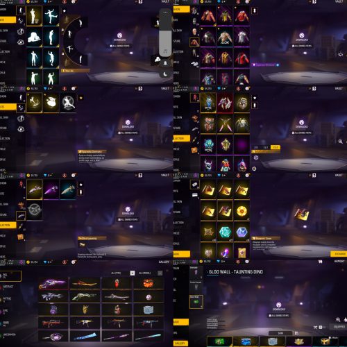 اکانت 3 تا الیت دارد