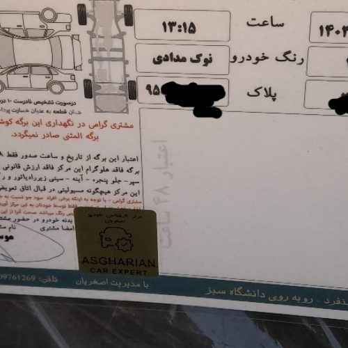 206تیپ 2 بی رنگ