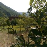 زمین400متر ییلاق مریان آق اولر