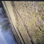 500متر زمین کشاورزی