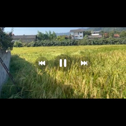 زمین کشاورزی و مسکونی فروشی