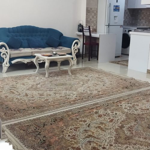 سوییت 65 متری