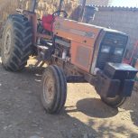 لطیف بهبودی تگله