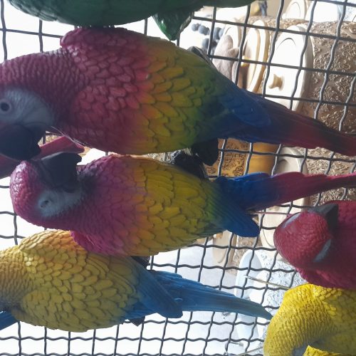 مجسمه طوطی دیوار کوب