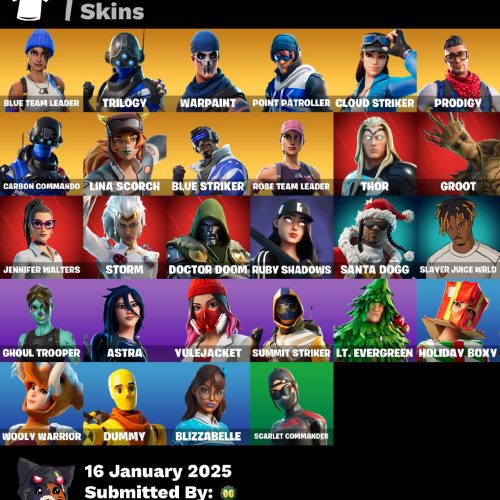 اکانت فرتنایت