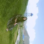 دنبال کار هستم