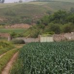 مزرعه هشت هزارمتری(باغ)