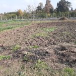 زمین در بادله