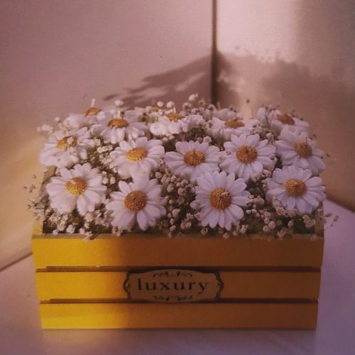 انواع شمع و گیفت های تولد عقد و عروسی