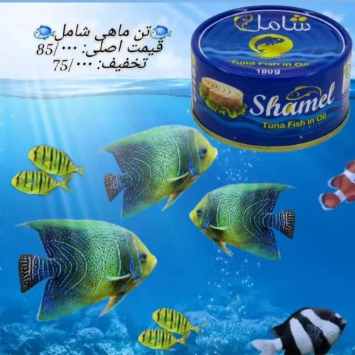 جزیره تخفیفات فرشگاه ثامن رب گوجه پانلا با قیمت فوق‌العاده فقط 55000تومان