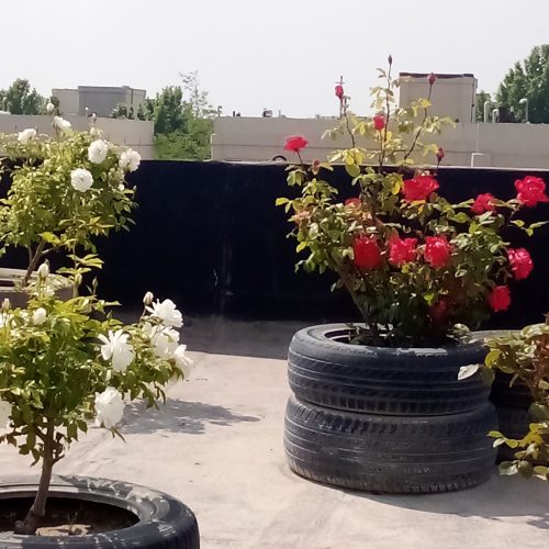 58 متری دو خواب و دلباز