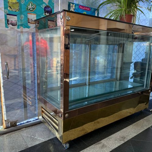یخچال ویترینی الکتروجی