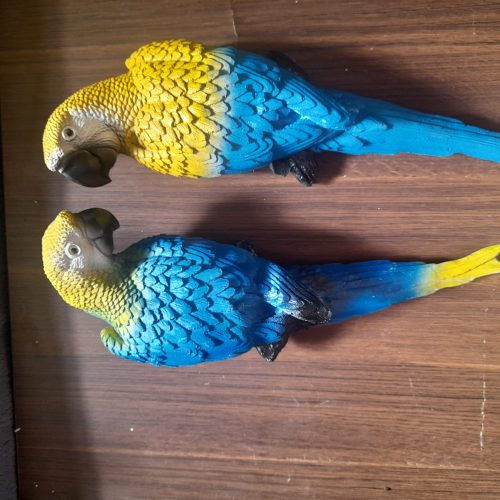 مجسمه طوطی دیوار کوب