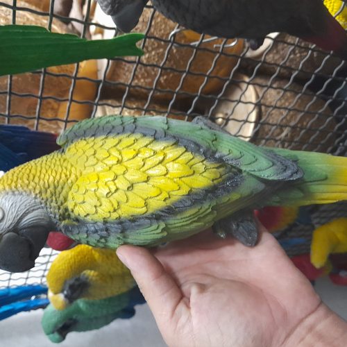 مجسمه طوطی دیوار کوب