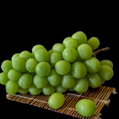 نهاله انگور موسکات