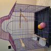 قفس طوطی برزیلی