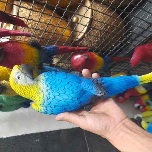 مجسمه طوطی دیوار کوب