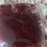 زعفران اعلا طرق نطنز