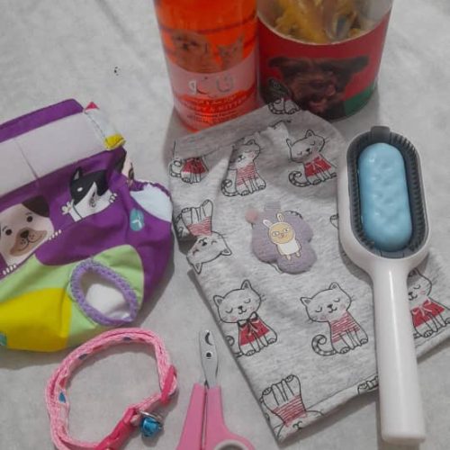 پامر اشپیتز