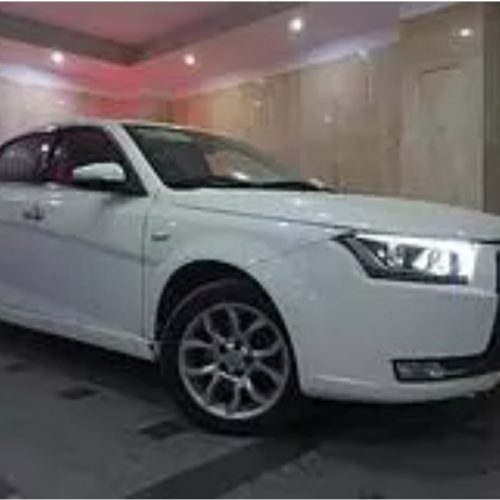 دناپلاس تیپ2سالم وپلمپ