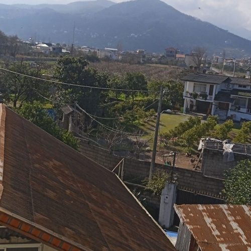 رو به جنگل روبه ساحل