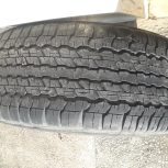 لاستیک لنکروز