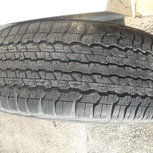 لاستیک لنکروز