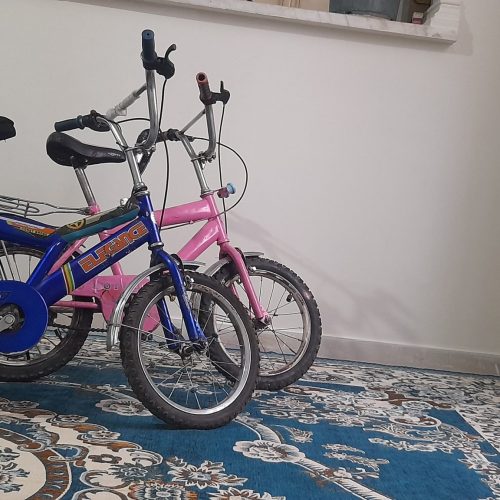 2 عدد دوچرخه