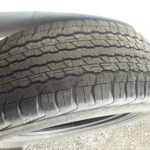 لاستیک لنکروز